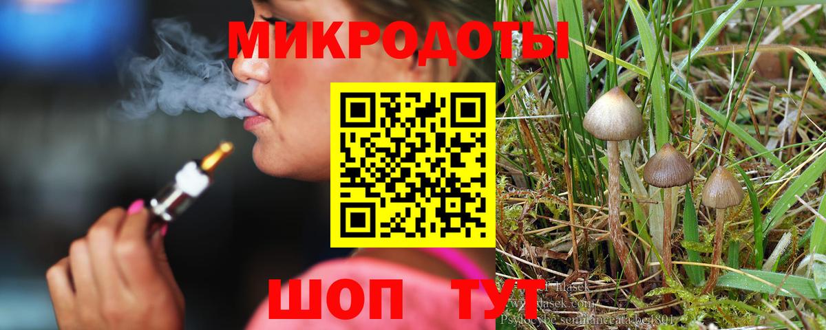 цены   Псилоцибиновые грибы Psilocybine cubensis  Вход с VPN  Лыткарино 